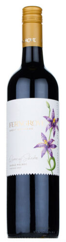 Ferngrove Orchid Queen of Sheba Shiraz